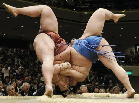 Pildiotsingu fit sumo wrestlers tulemus