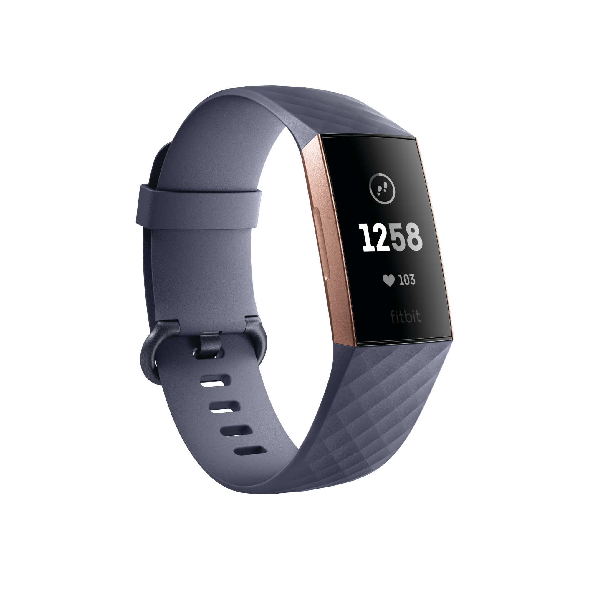 Size Chart Fitbit Charge 2