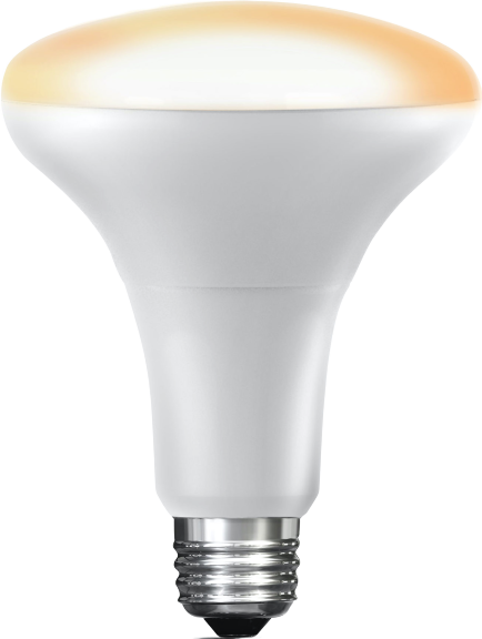 Feit BR30 Light bulb on a white background