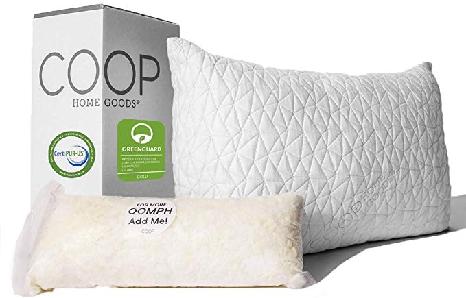 Coop Home Goods Premium Loft Pillow