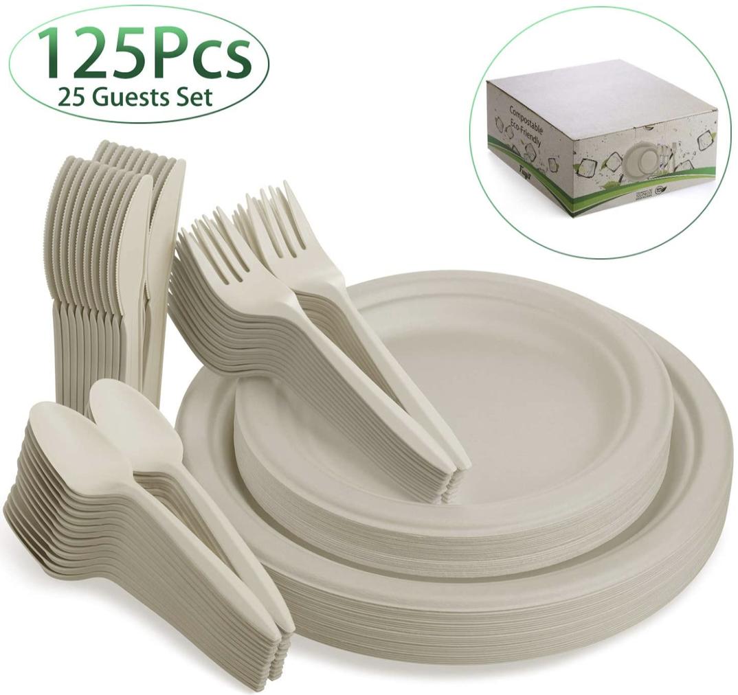Fuyit 125Pcs Disposable Dinnerware Set
