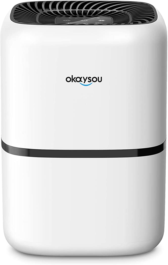 Okaysou Air Purifier
