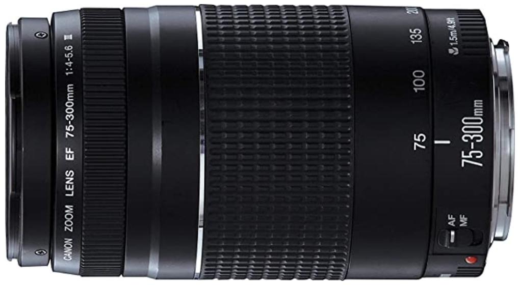 Canon EF 75-300mm f/4-5.6 III Telephoto Zoom Lens