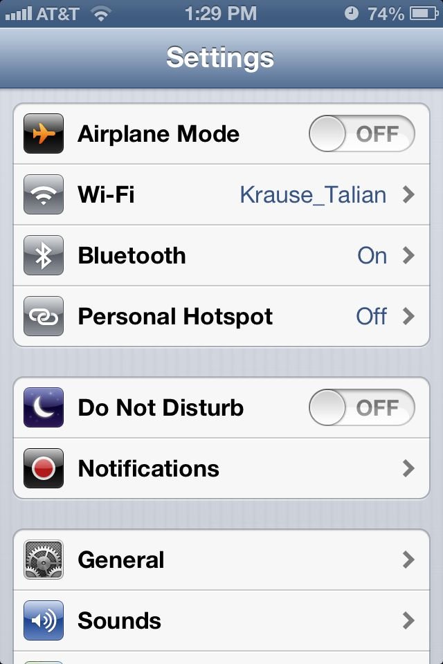 iphone settings panel