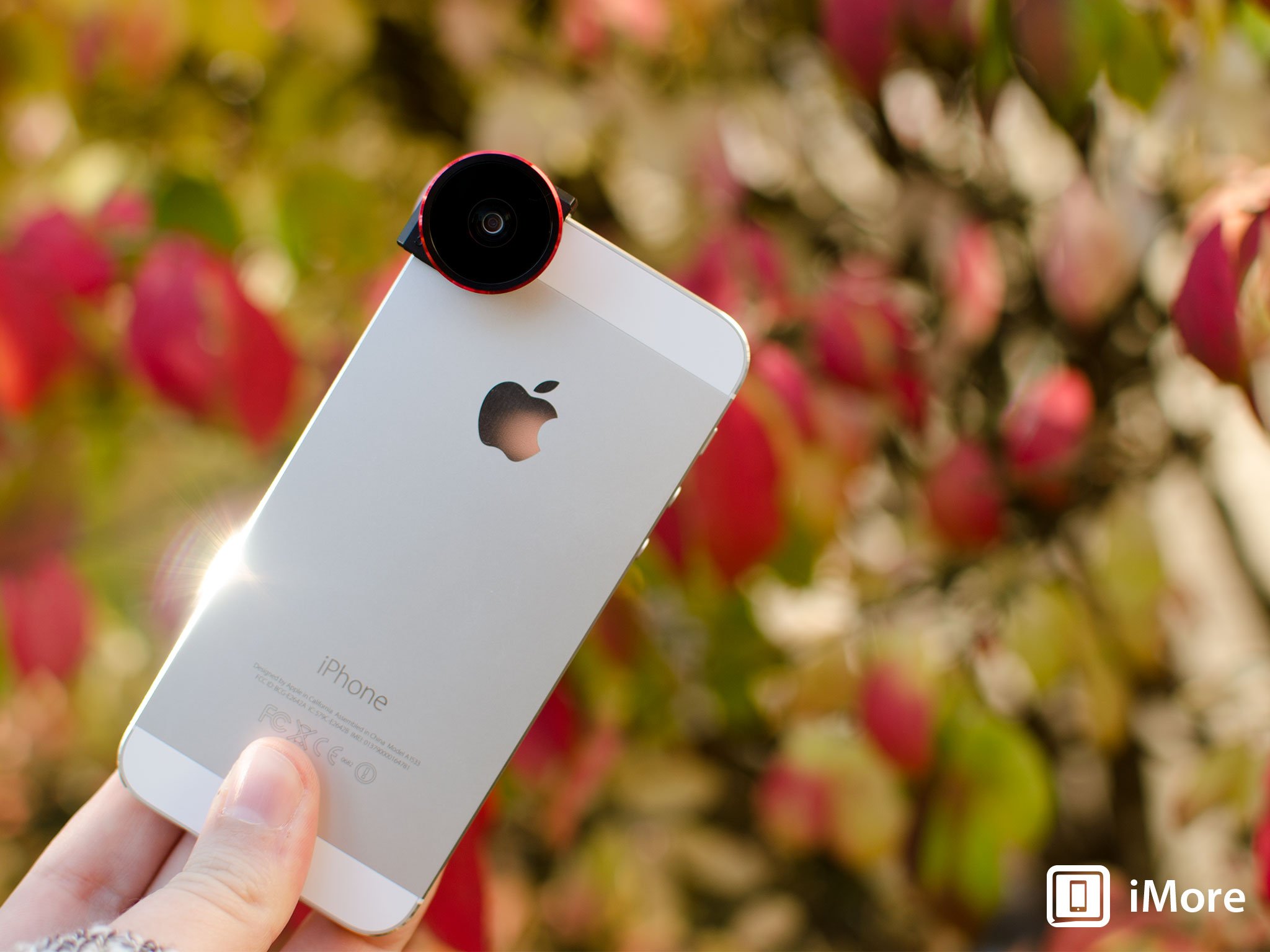 Olloclip 4-in-1 for iPhone 5 and iPhone 5s review, and sample photos!