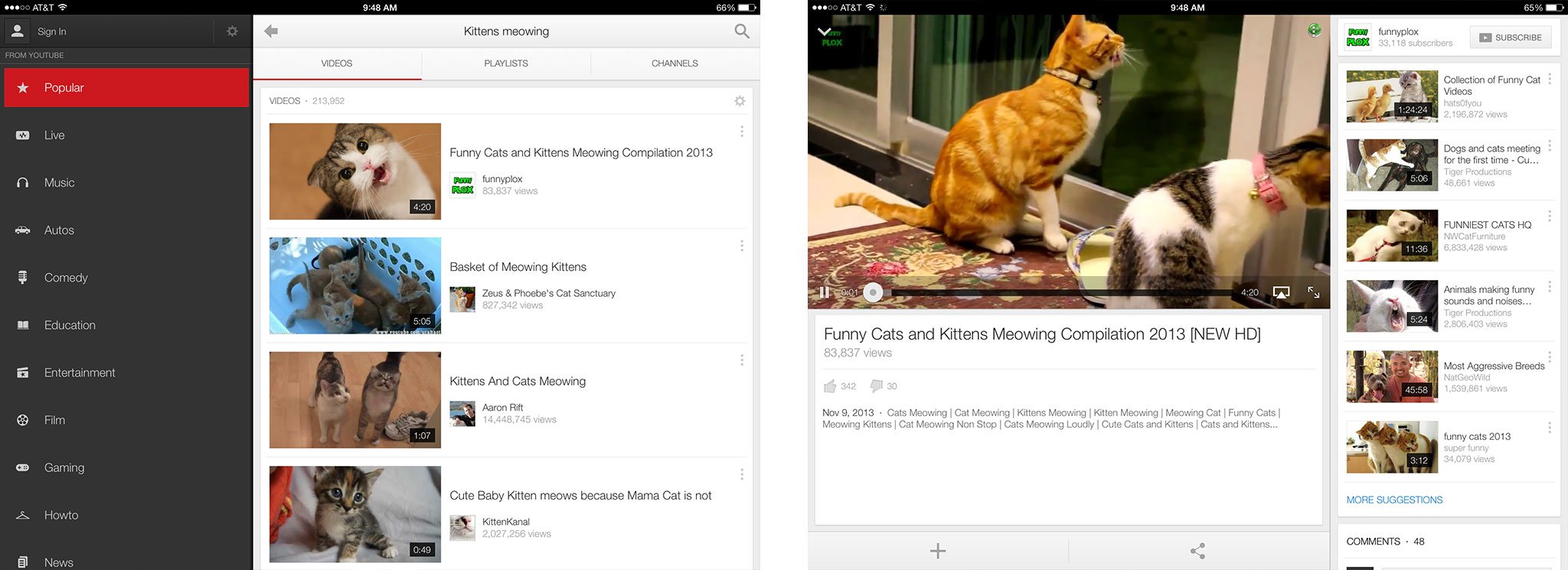 Best iPad apps for cats: Youtube for iPad