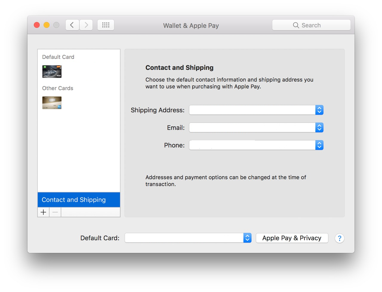 Setting up Apple Pay on Mac showing the steps to View your contact and shipping information