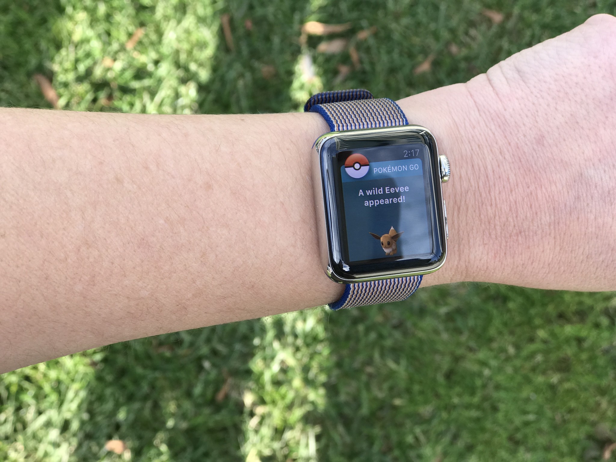 Pokemon Go For Apple Watch Guide Tips And Tricks Imore