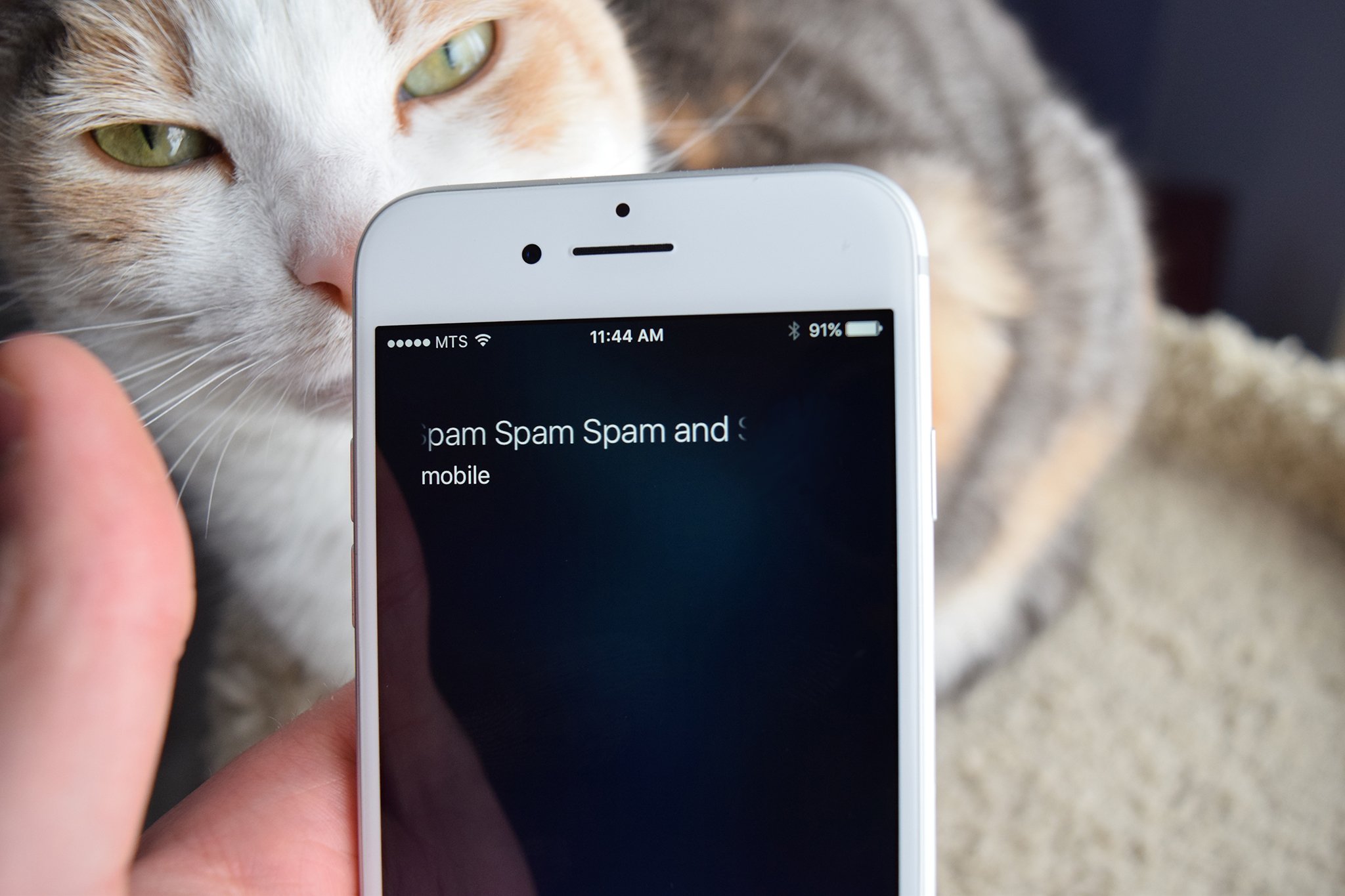 How to block spam calls on your iPhone | iMore