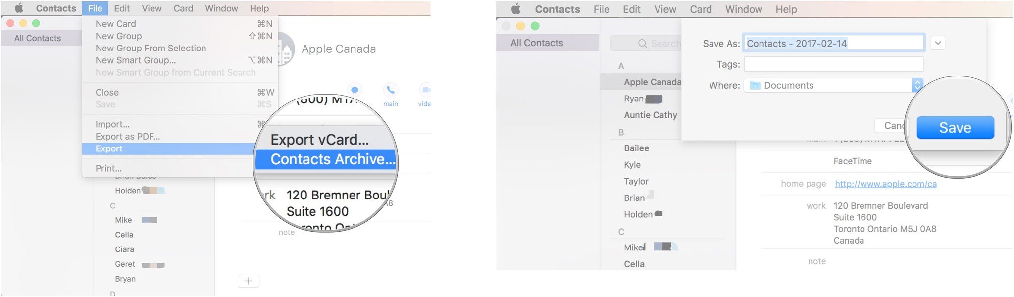 To manually back up contacts by exporting them, click File, Export, Contacts Archive, name the file, and click save.
