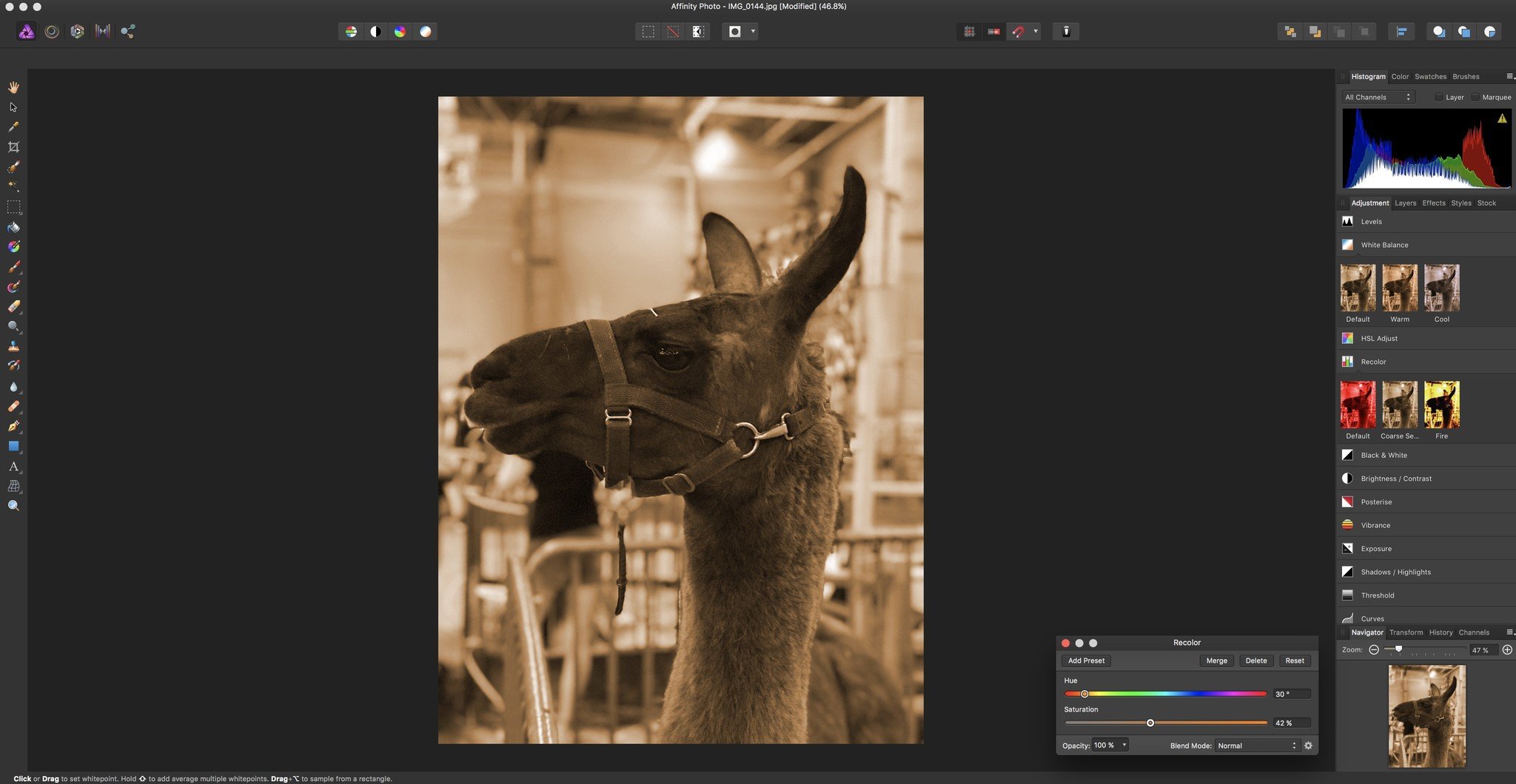 Affinity Photo on Mac showing off editing tools sepia llama
