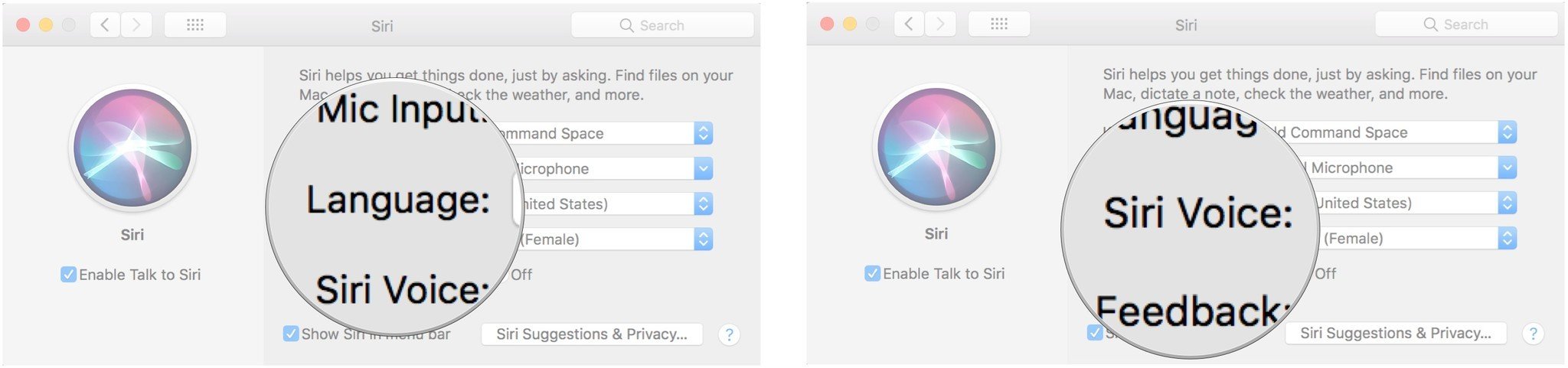 To enable Siri on the Mac, select a language, then select a voice style.