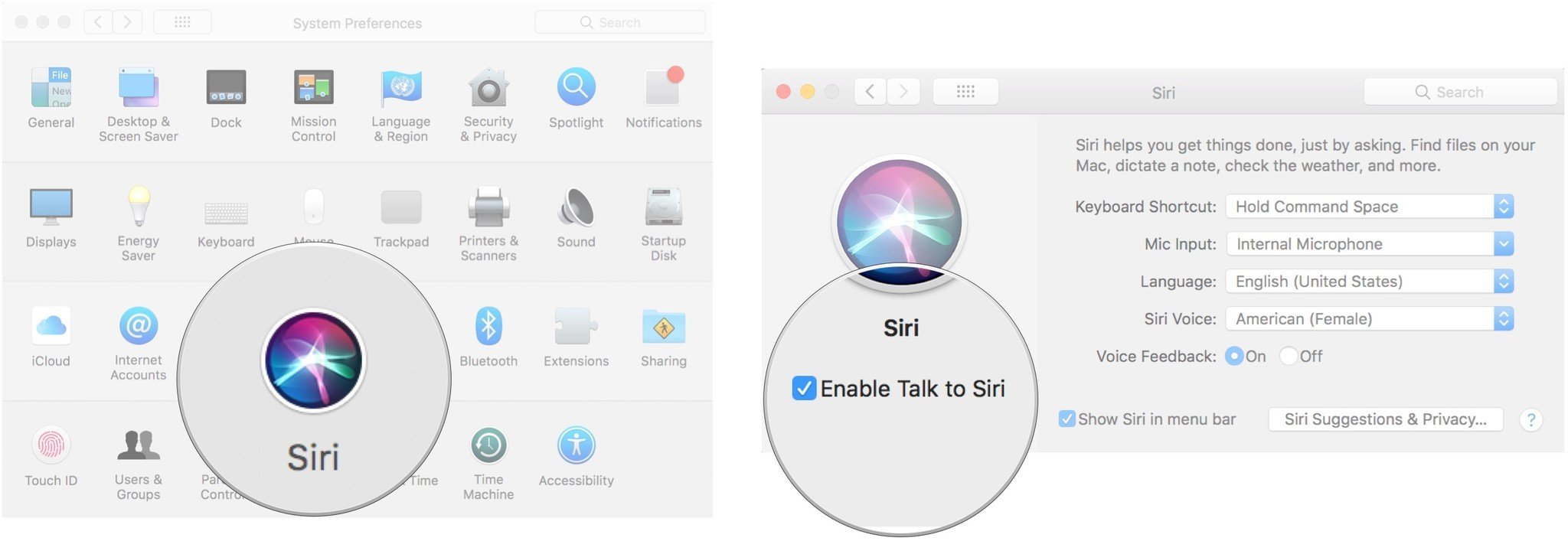 To enable Siri on the Mac, click on Siri, then enable Talk to Siri.