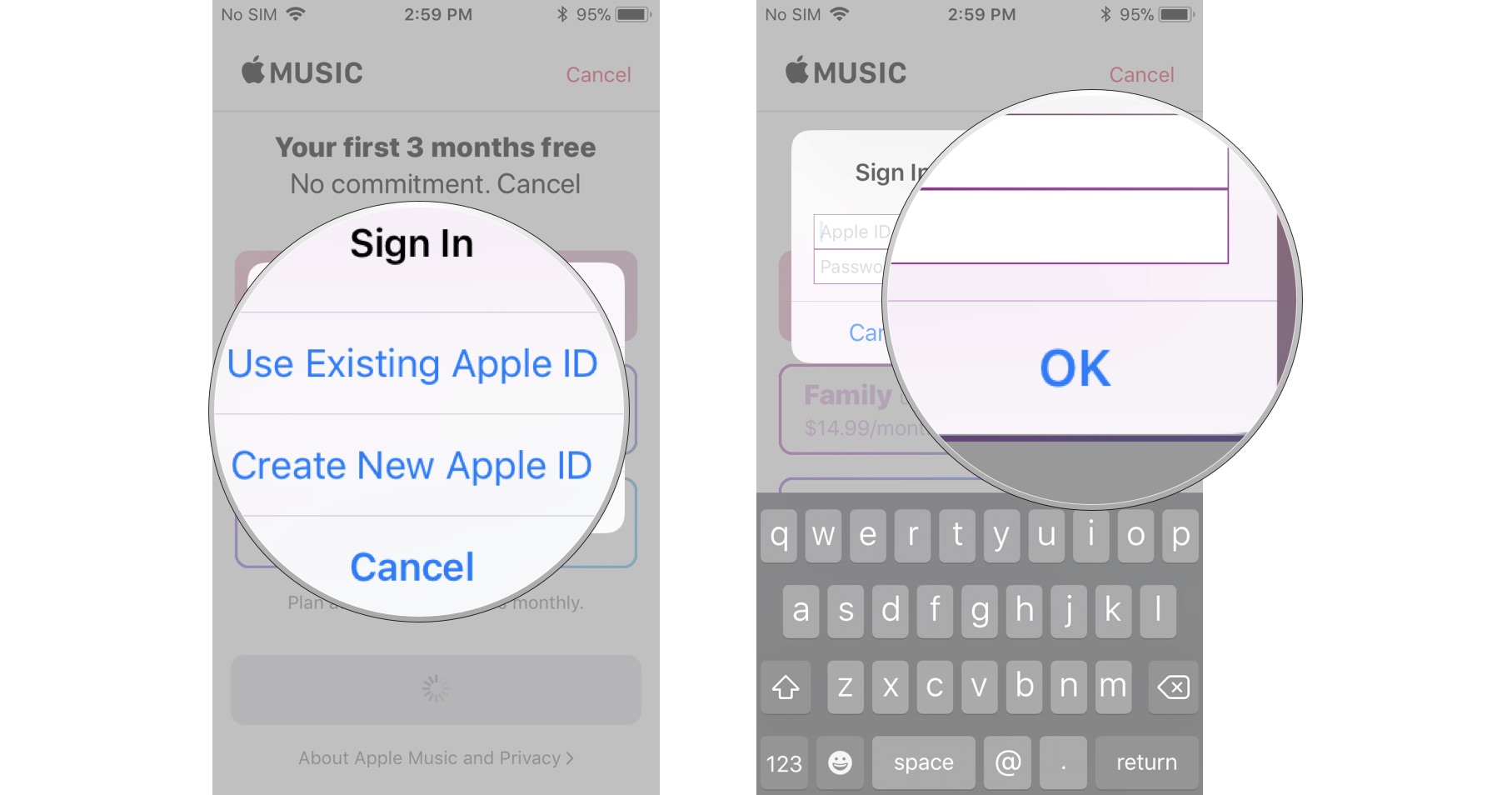 To sign up for Apple Music on your iPhone or iPad, sign in with your Apple ID and password, then Confirm.