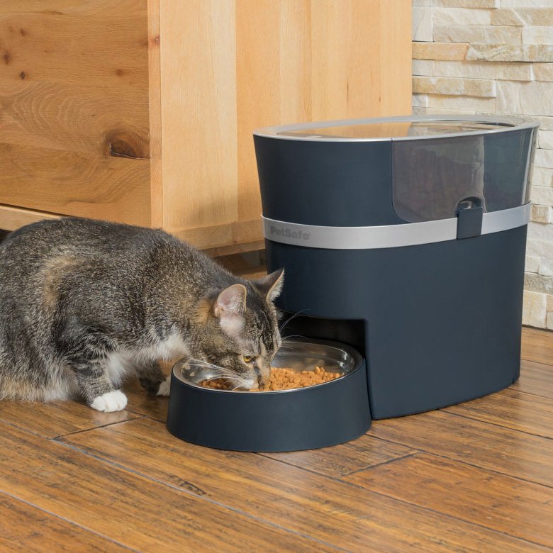 Best Smart Feeders for Dogs and Cats 