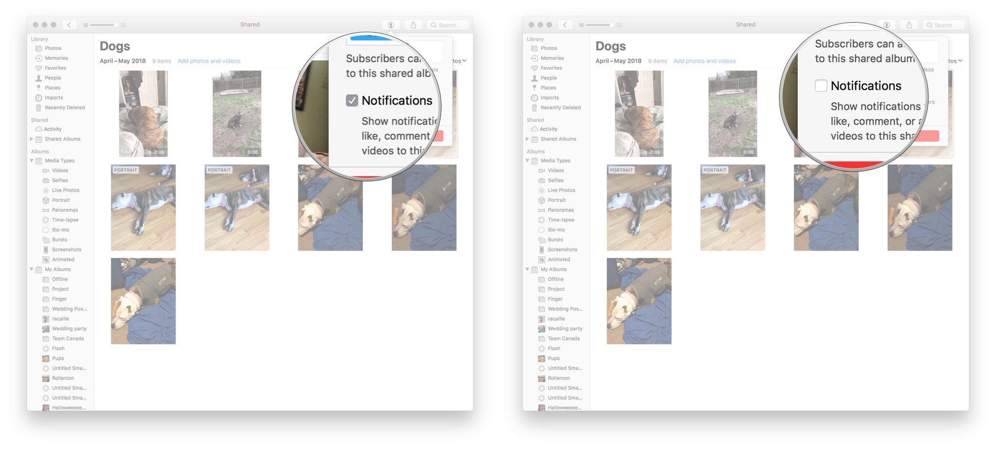 Disable notifications: Launch Photos, Open Shared Album, Click People, Uncheck Notifications