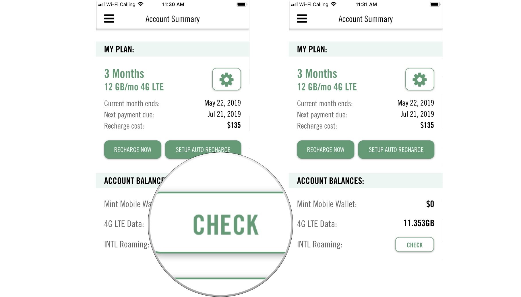 mint mobile check data use