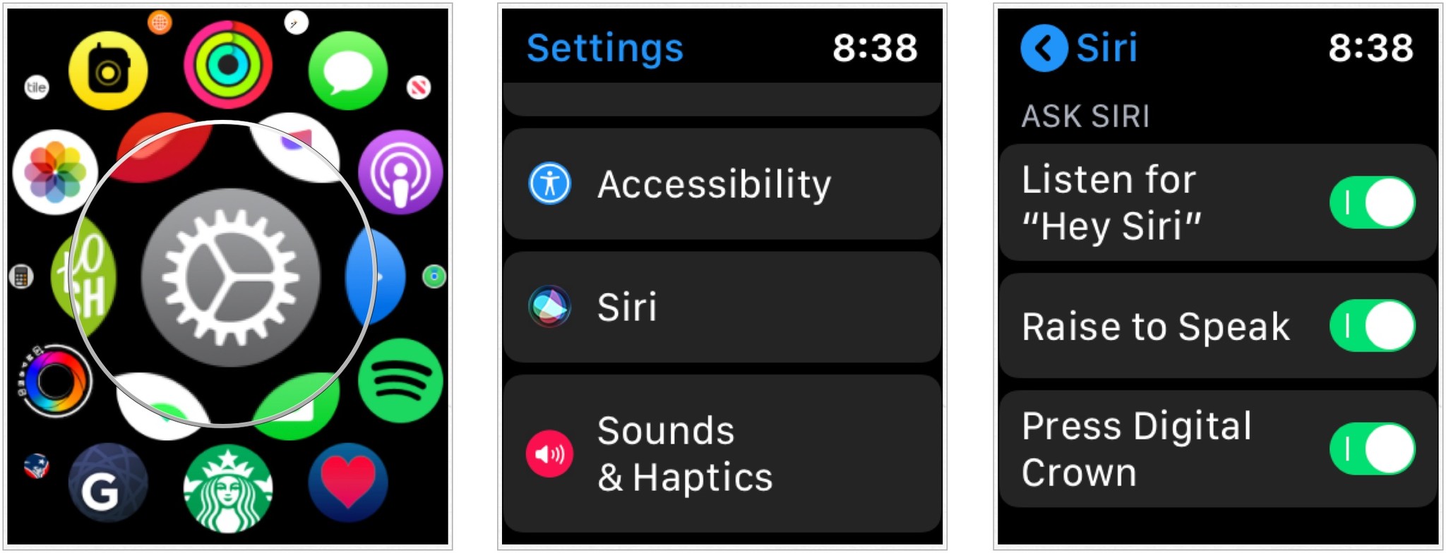 Apple Watch Siri settings