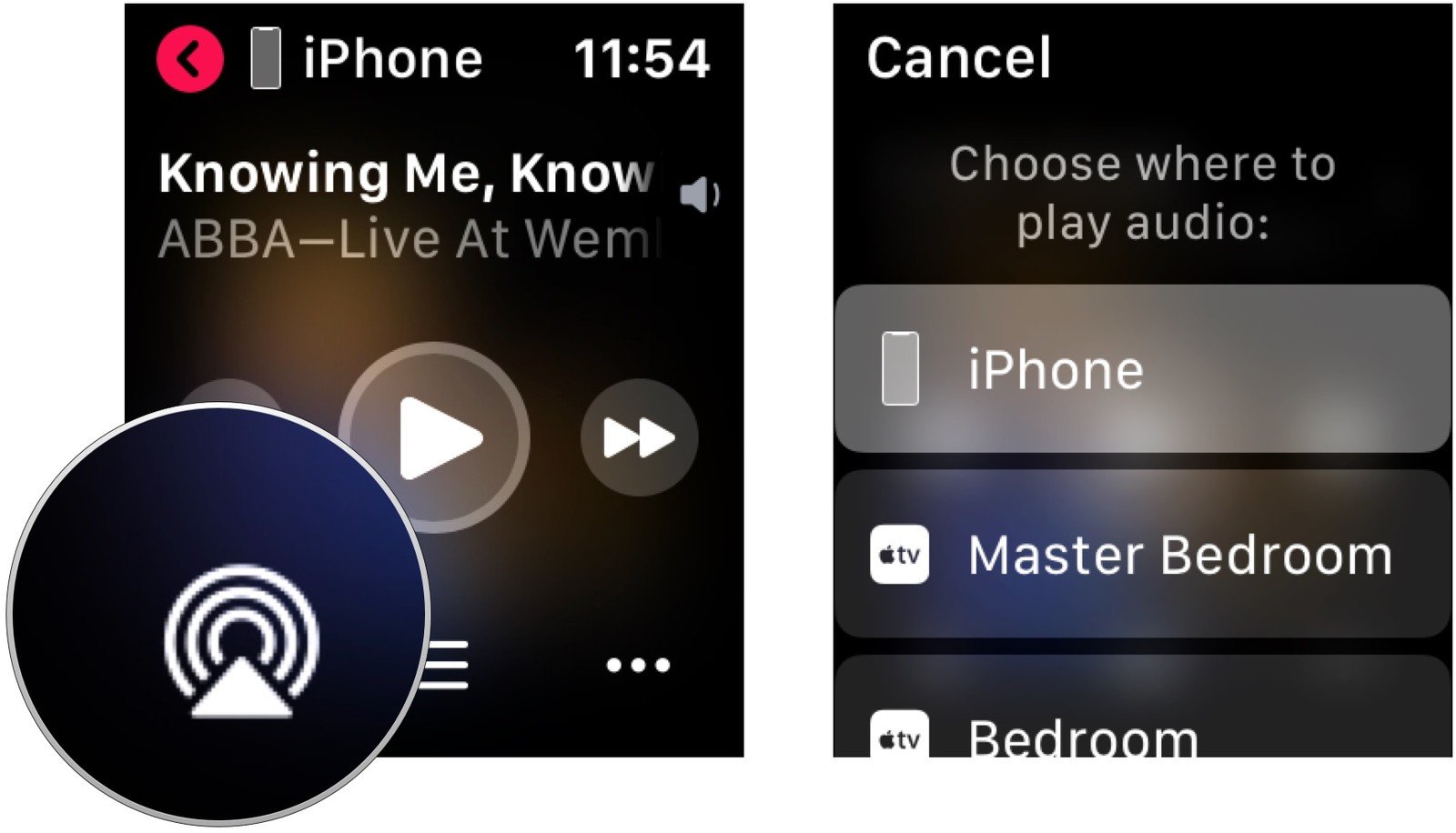 To use the playback controls on Apple Watch, tap the audio icon. 