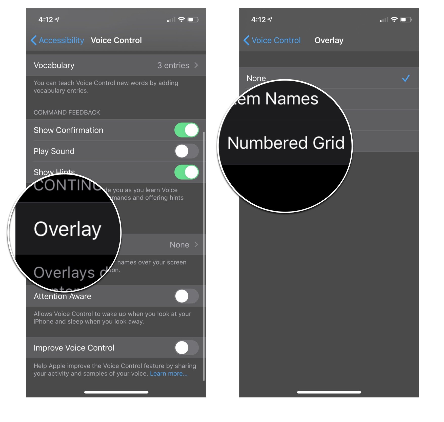 Numbered Grid overlay settings: Tap overlay and then tap numbered grid
