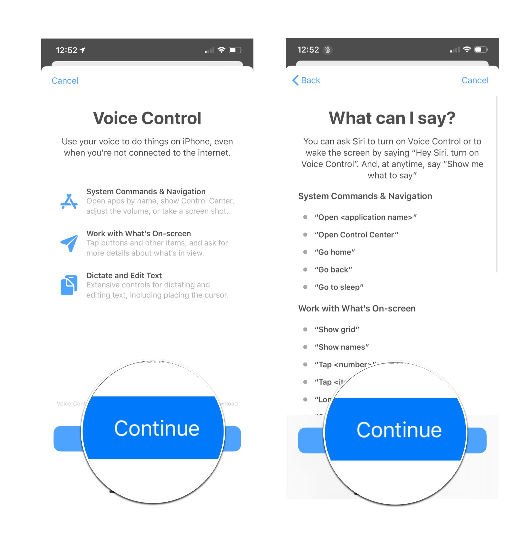 Set up Voice Control: Tap continue and then tap continue again.