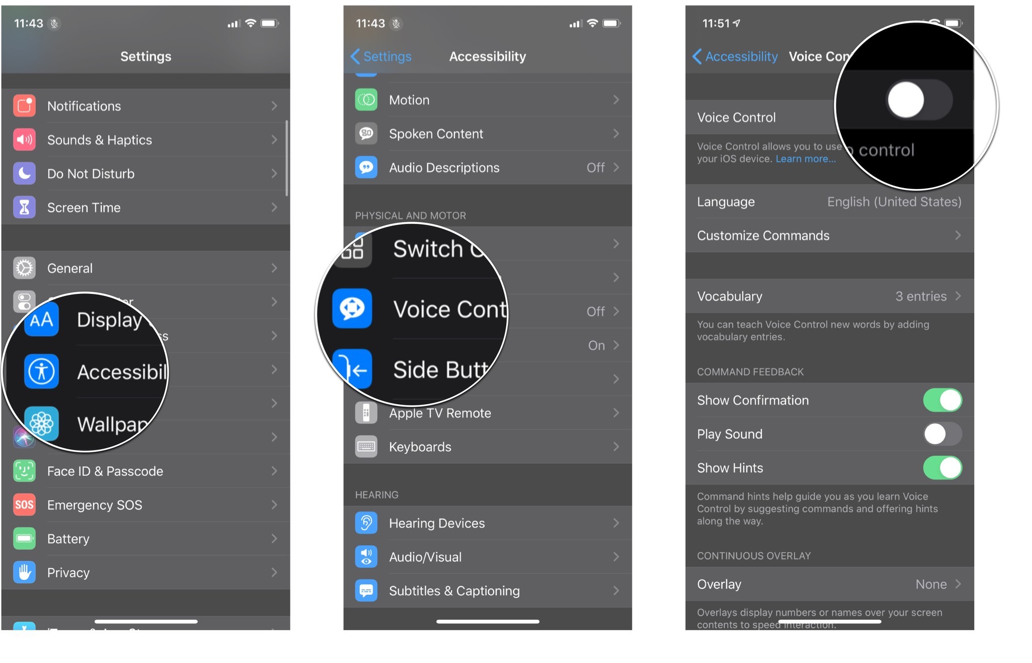 Turning on Voice Control: Launch Settings, tap Acessibility, tap Voice Control, and the tap the On/Off switch.