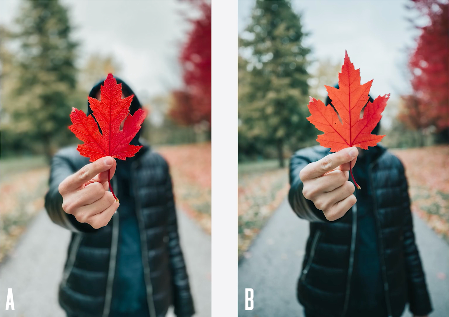 Check out this iPhone 11 Pro vs Canon DSLR photoshoot | iMore