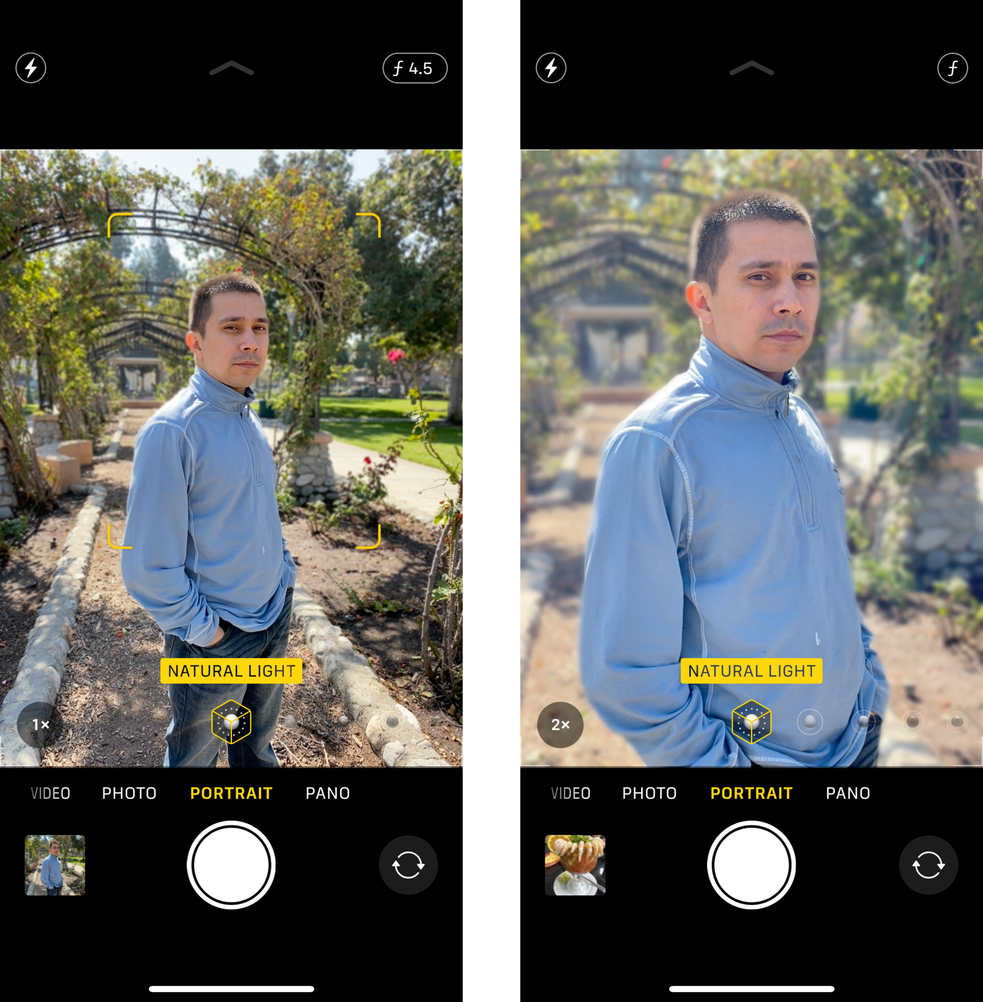 Wide and Telephoto side-by-side for Portrait mode