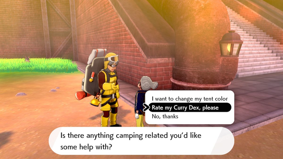 The Camping King in Pokémon Sword and Shield