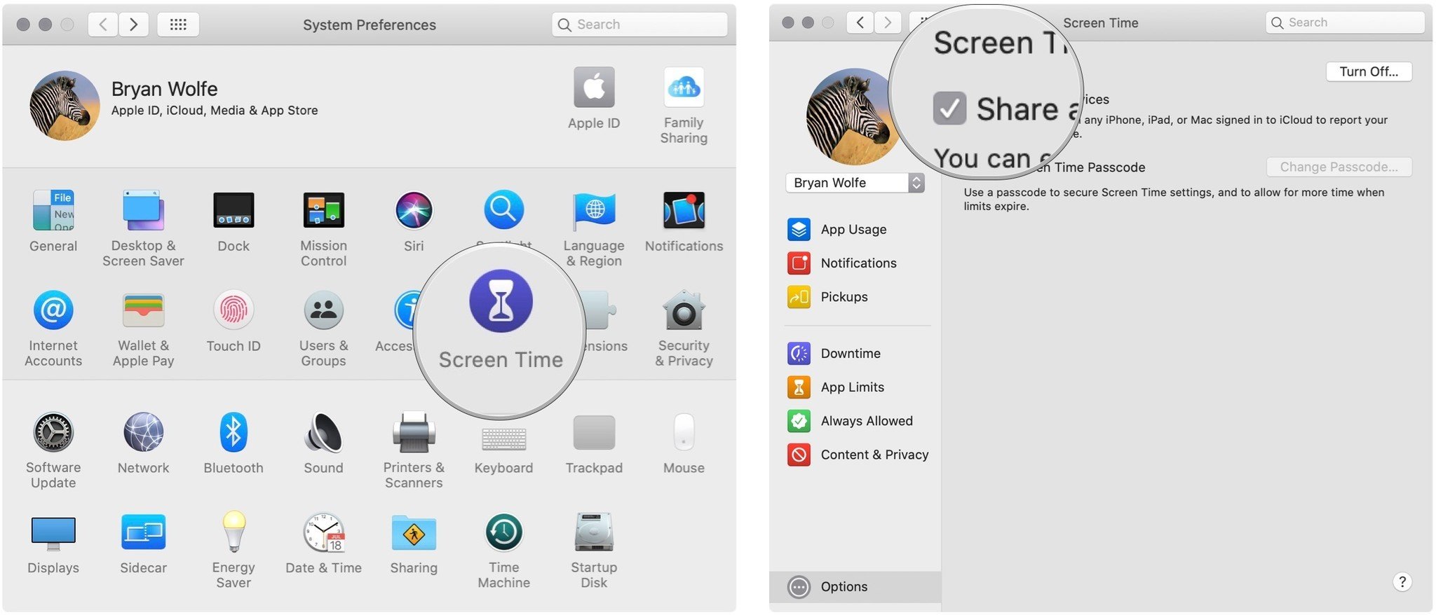 Screen Time share