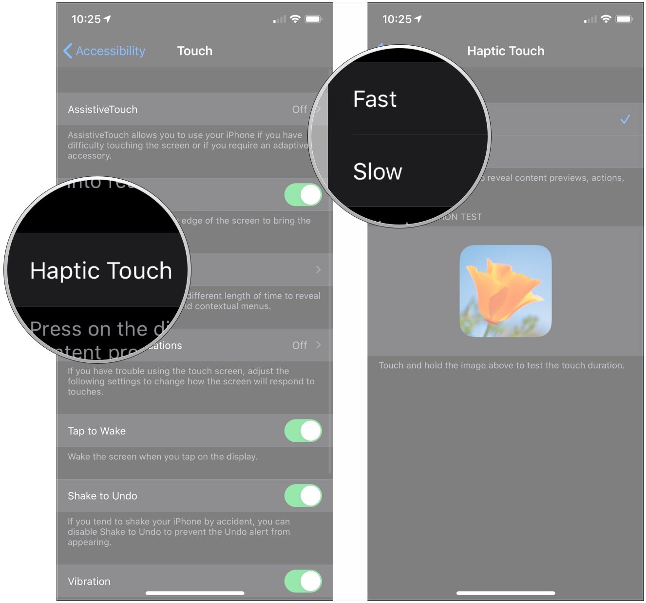 Customize Haptic Touch, showing how to tap Haptic Touch, tap Fast or Slow