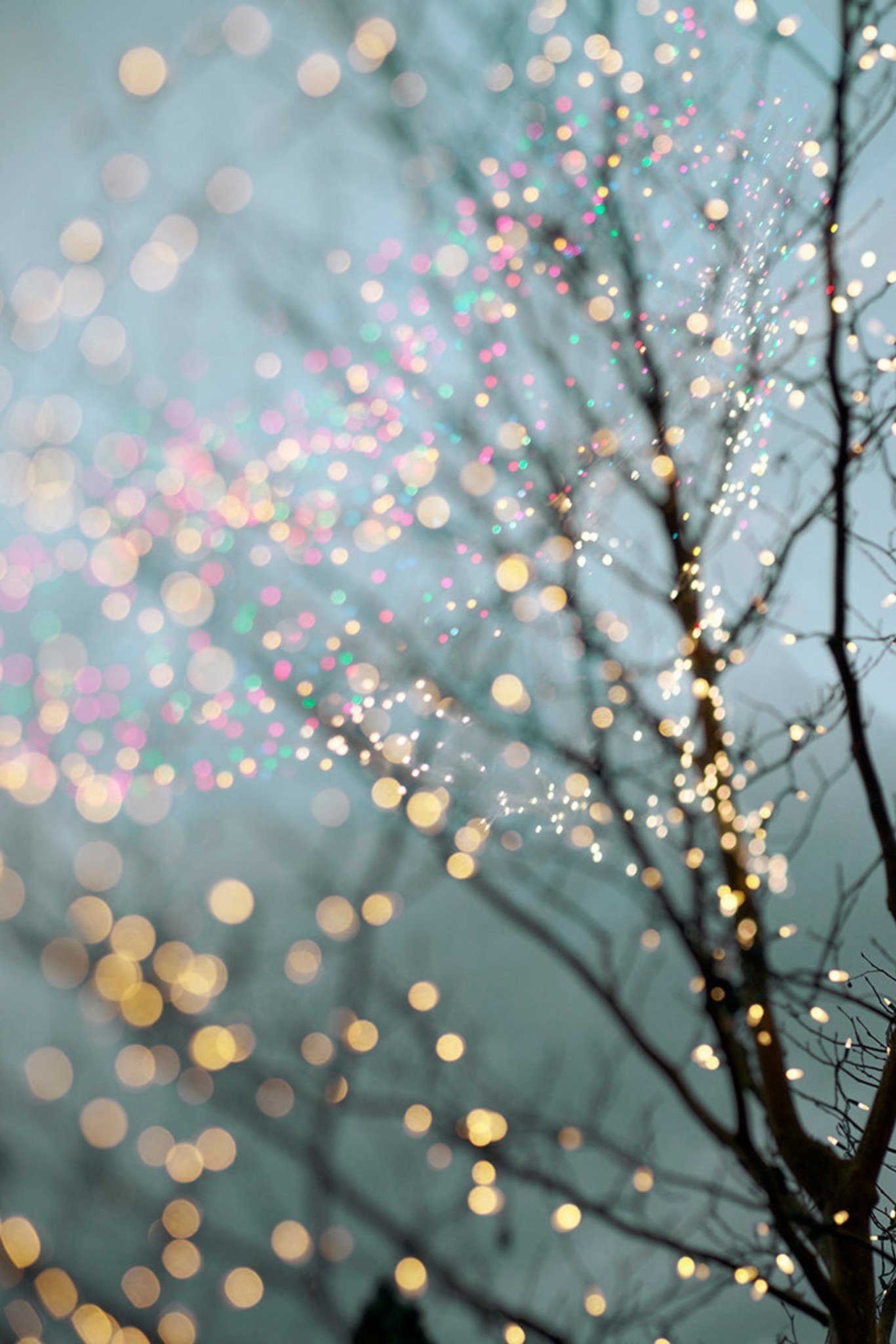 Holiday Fairy Lights in tree in winter