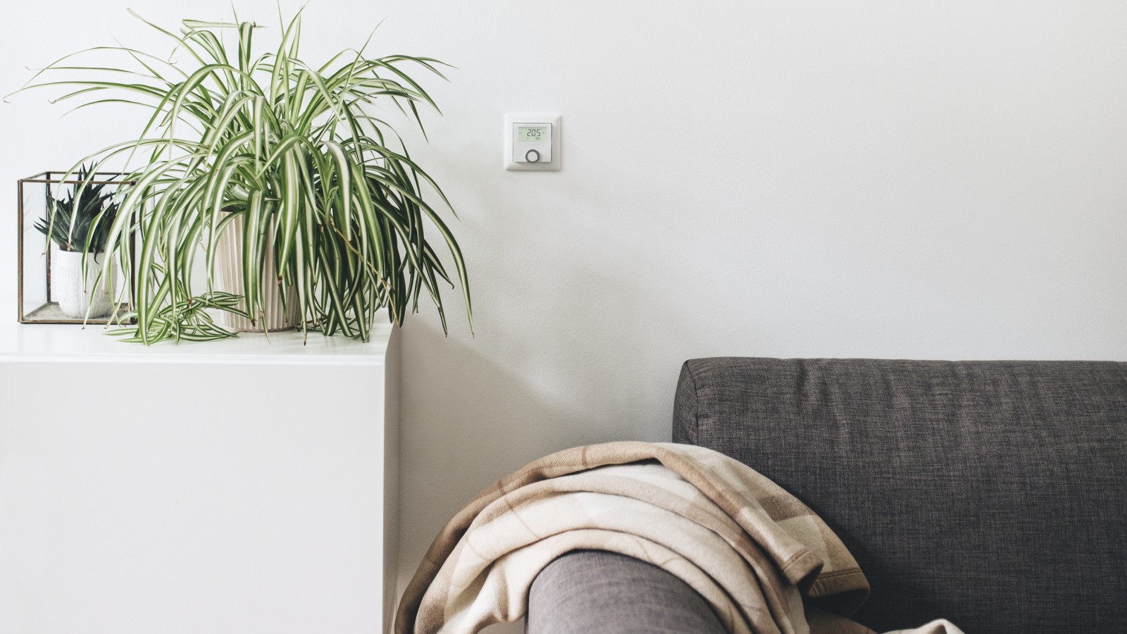 Bosch smart thermostat on a wall in a living room environment