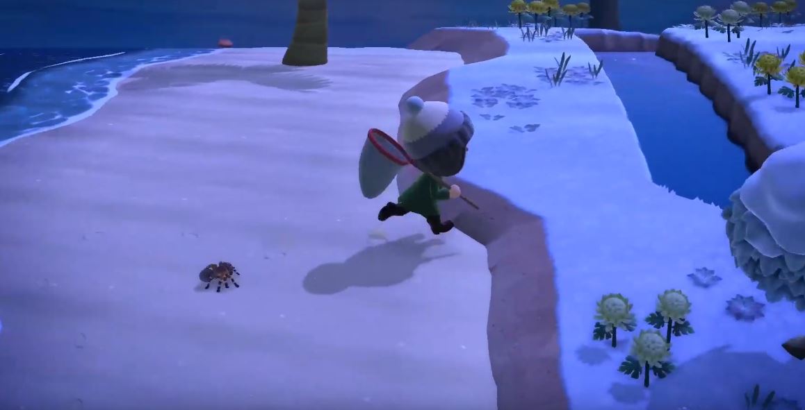 Animal Crossing New Horizons Spider