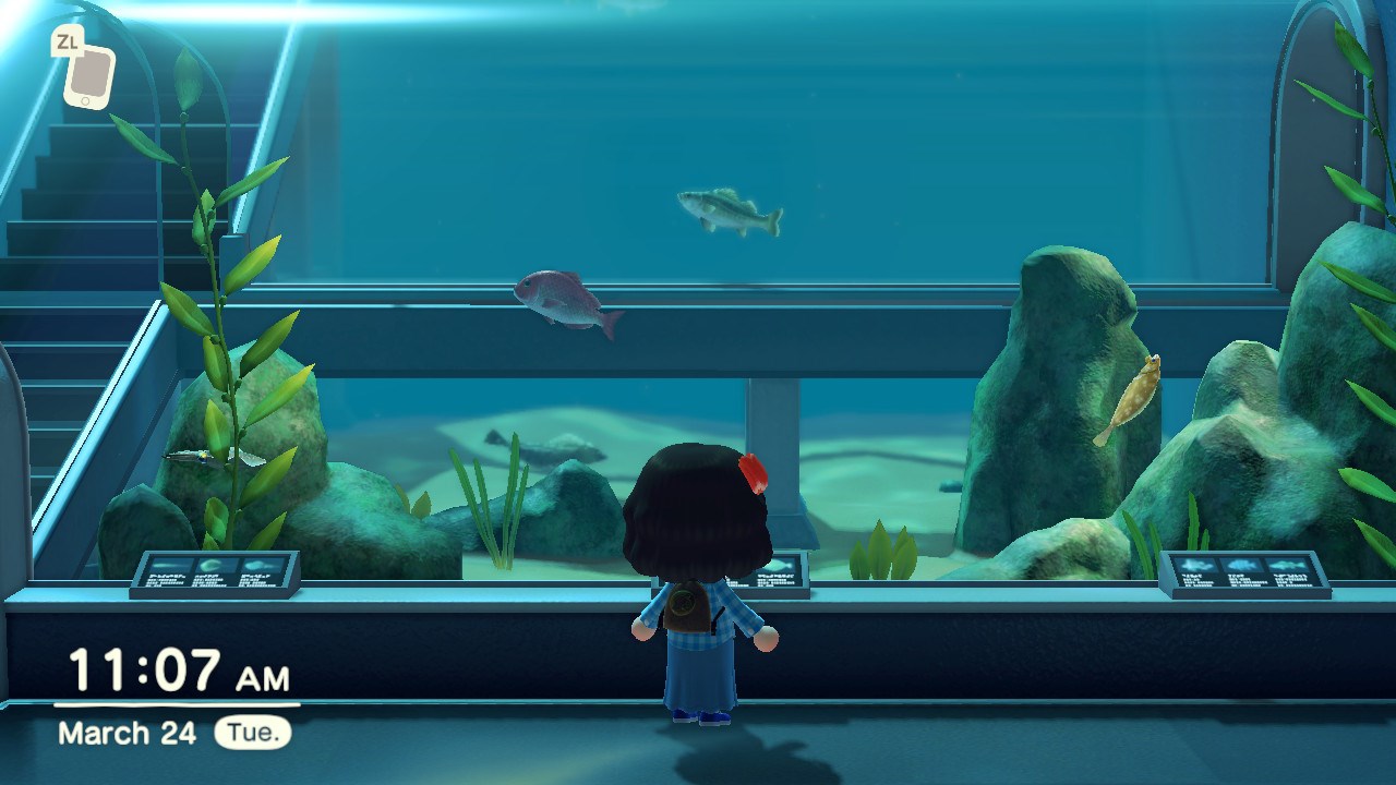 Animal Crossing New Horizons Aquarium