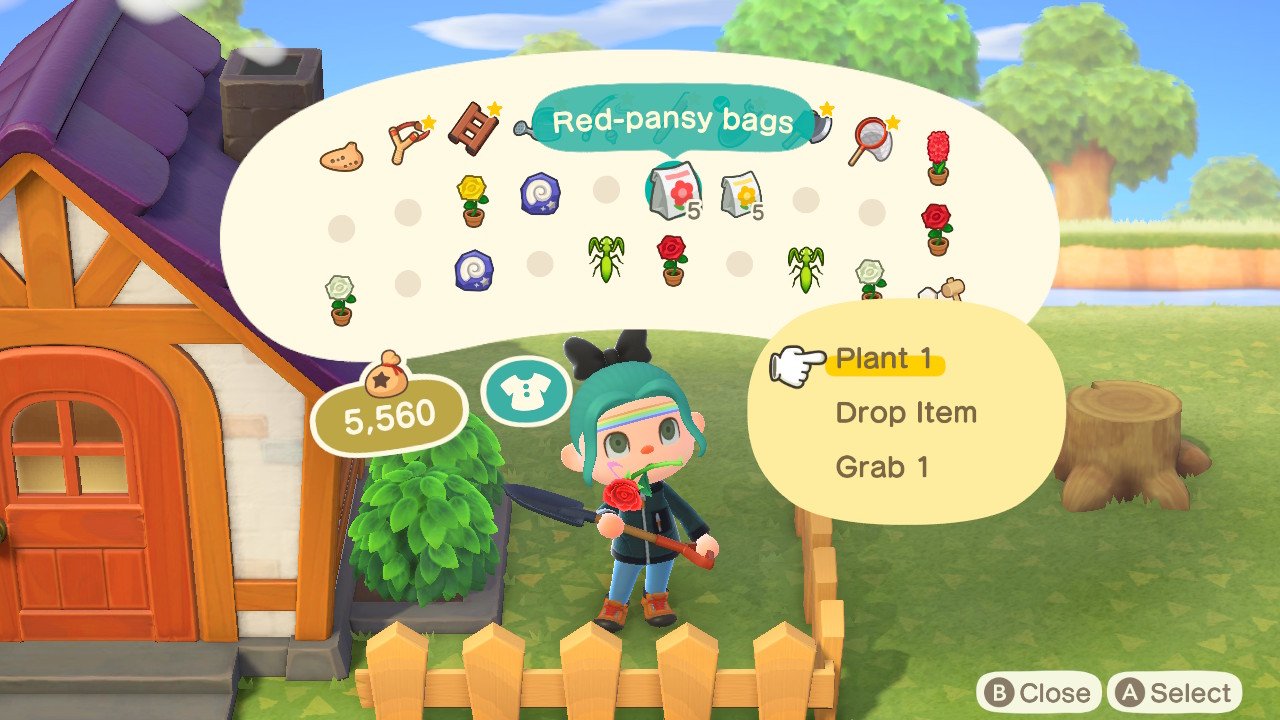 Animal Crossing New Horizons Flower Breeding Planting