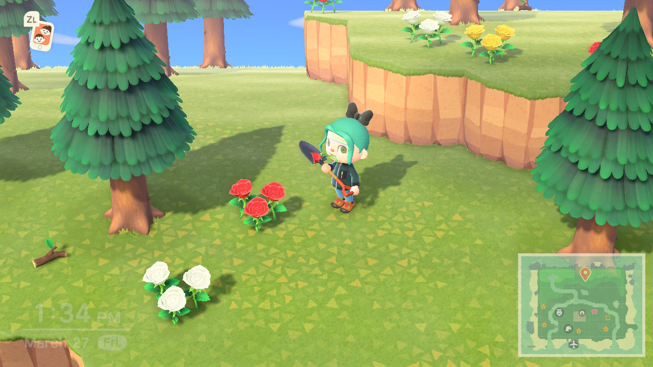 Animal Crossing New Horizons Flowers Cliffs