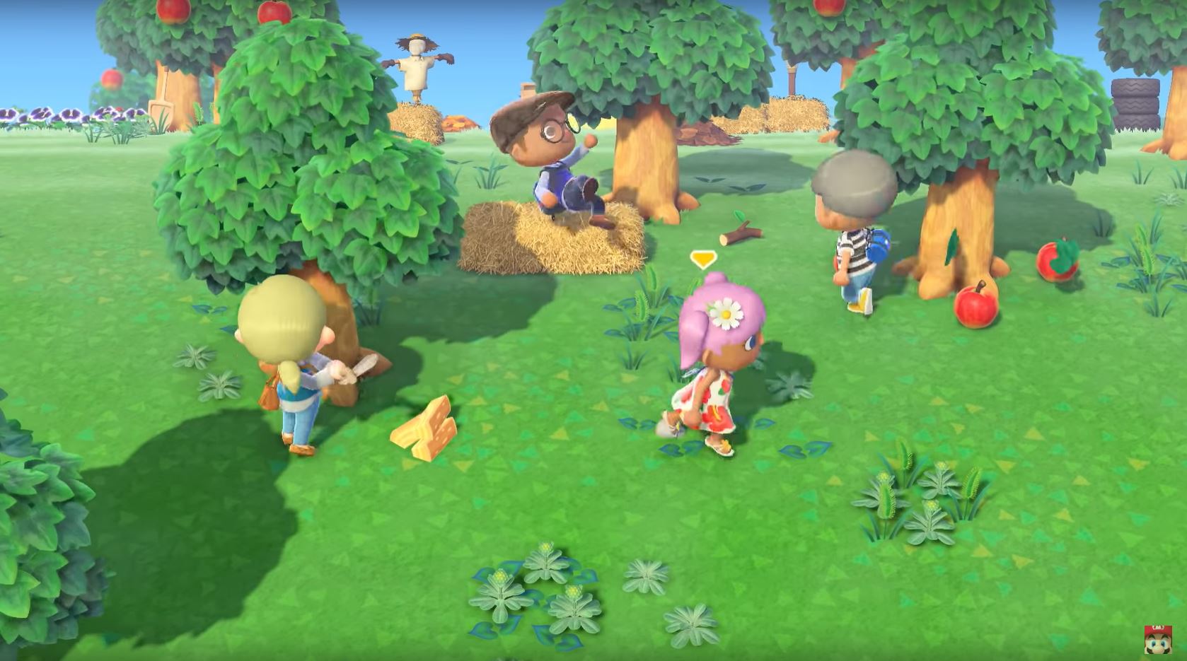 Animal Crossing New Horizons Multiplayer Local