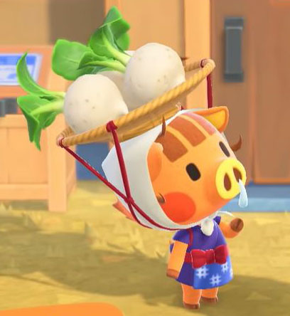 Animal Crossing New Horizons Switch Confirmed Characters Daisy Mae
