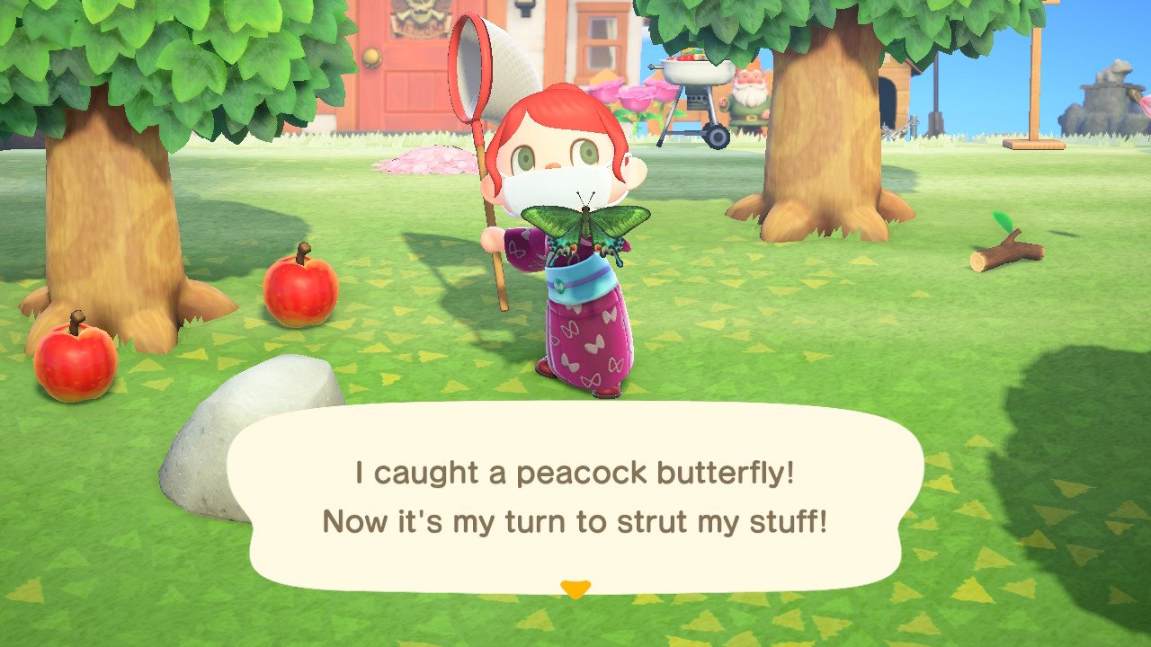 Animal Crossing New Horions Peacock Butterfly
