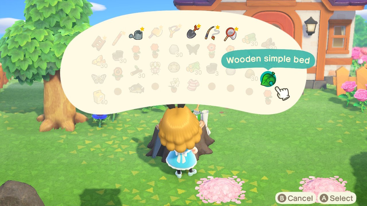 Animal Crossing New Horizons Befriending Sable
