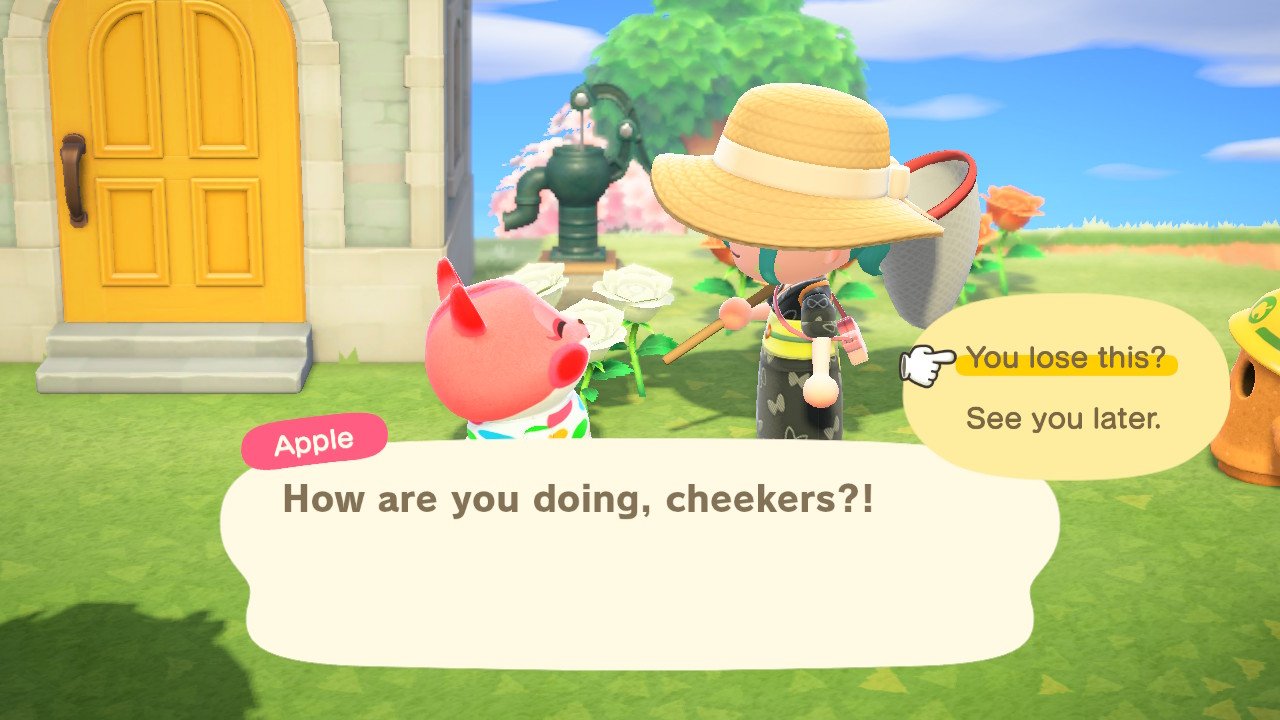 Animal Crossing New Horizons Потерянные предметы