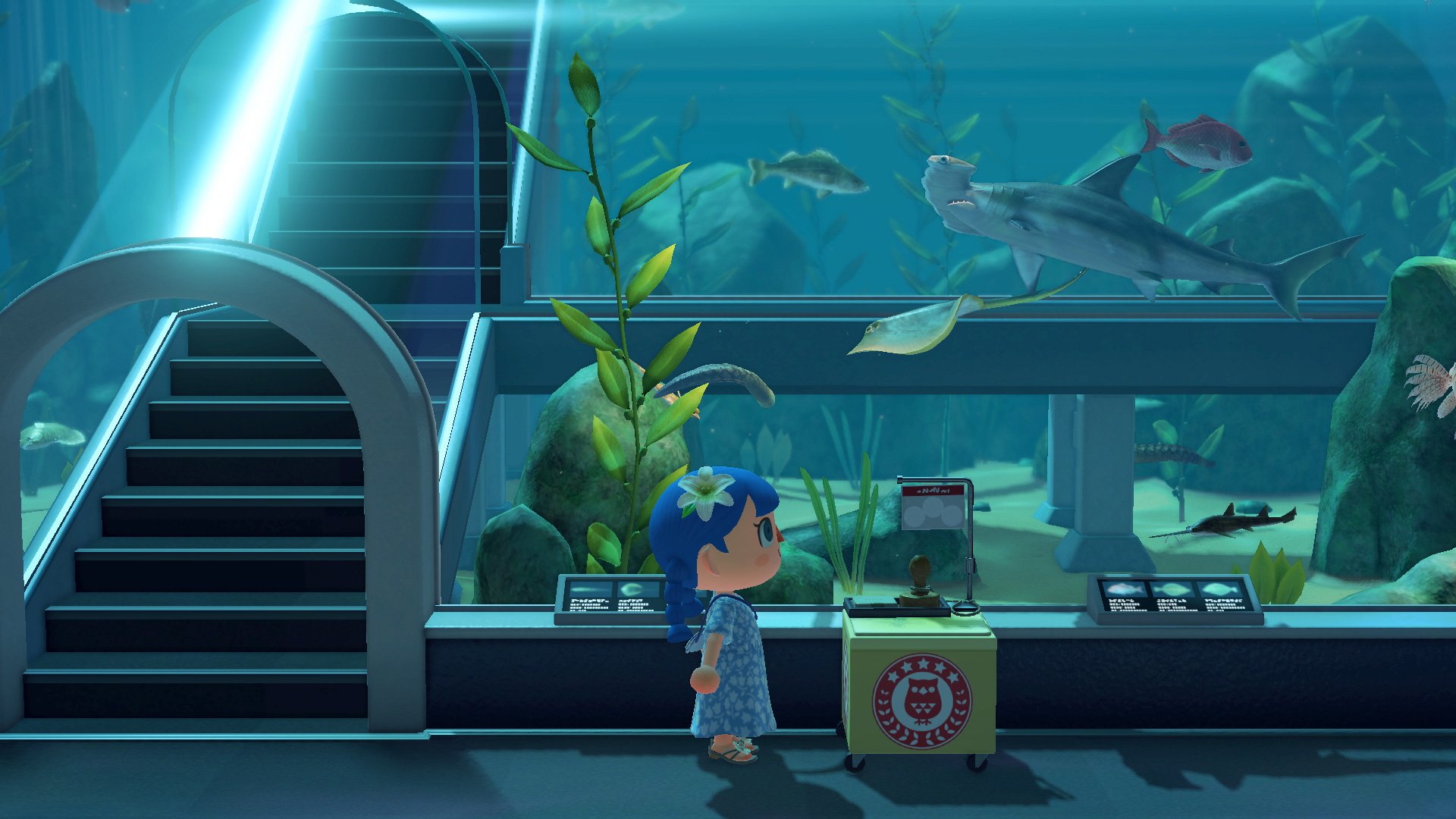 Animal Crossing New Horizons Museum Day Sharks
