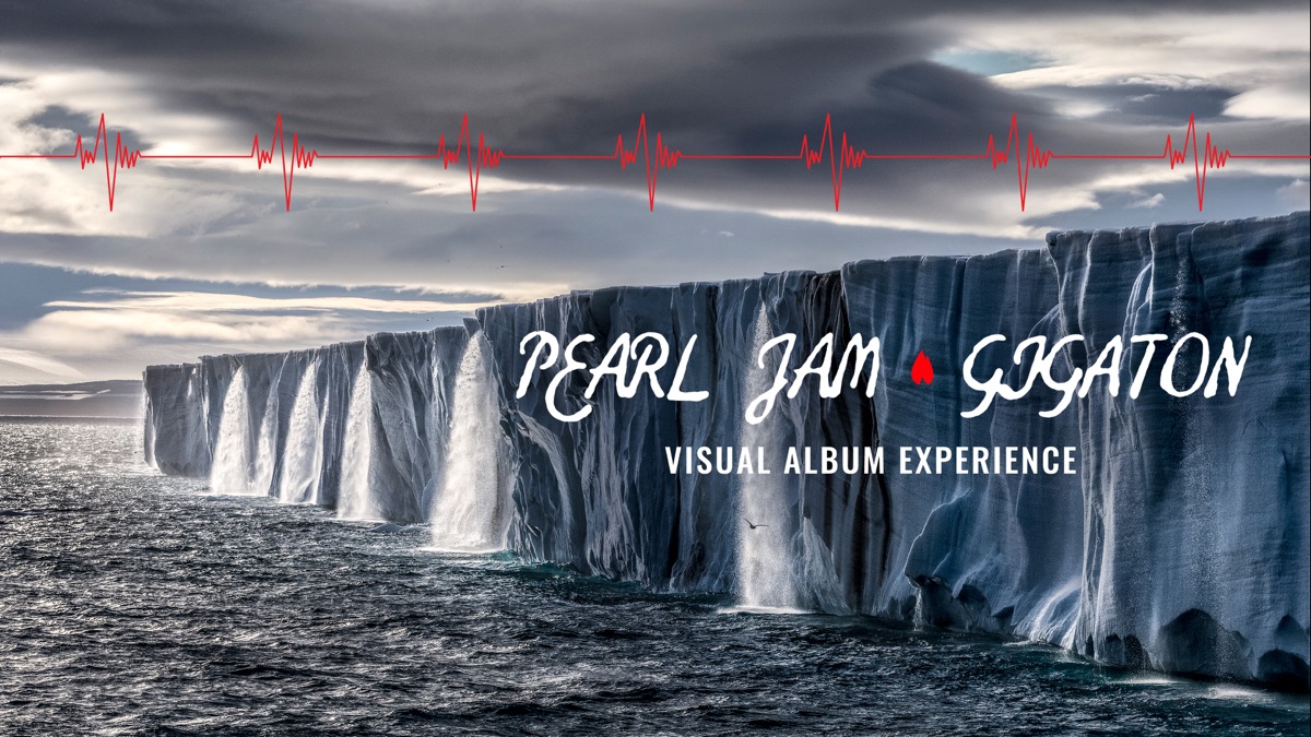 Pearl Jam Gigaton Experience Head