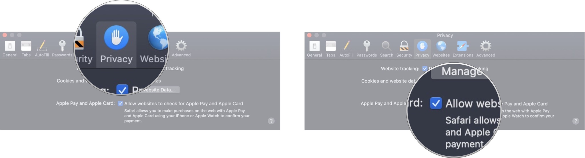 Apple Pay Setup Click On Privacy Click On Allow Websites To Check For Apple Pay And Apple Card