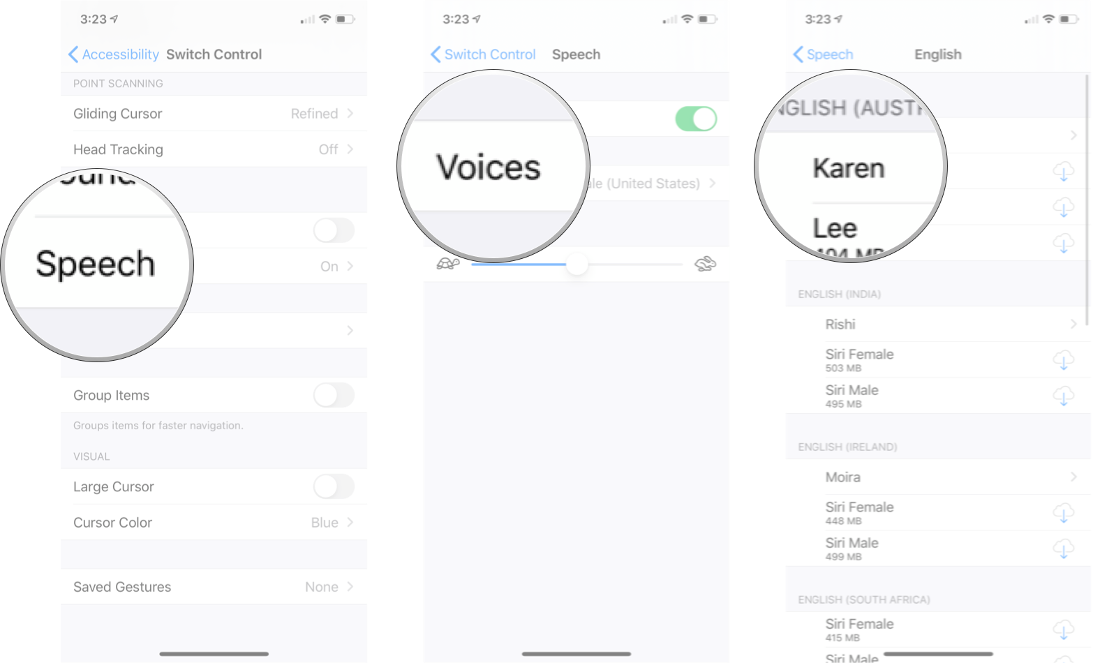 Change Switch Control Voice: Tap speech, tap voices, and then tap the voice you want.