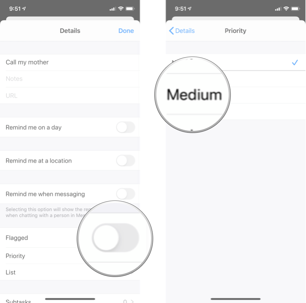 Choose Priority For a Task in Reminders: Tap Priority and then tap the option you want.