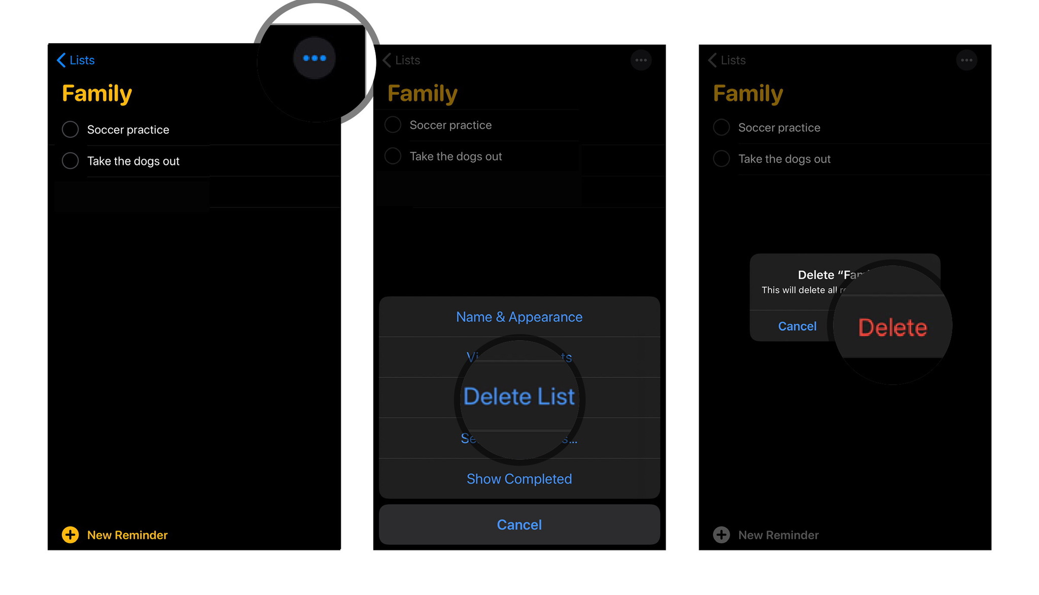 How to delete list: Tap on Family, Tap on the three dots, Tap Delete List and then confirm.