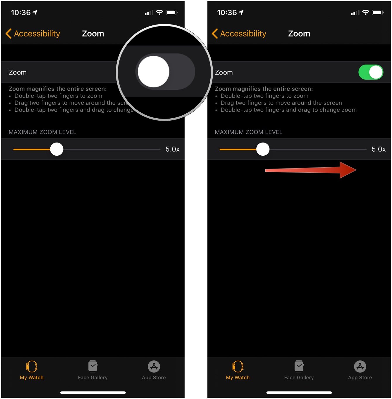 Enable Zoom on Apple Watch with iPhone, showing how to tap the Zoom switch, then drag the slider left or right to adjust the magnification size