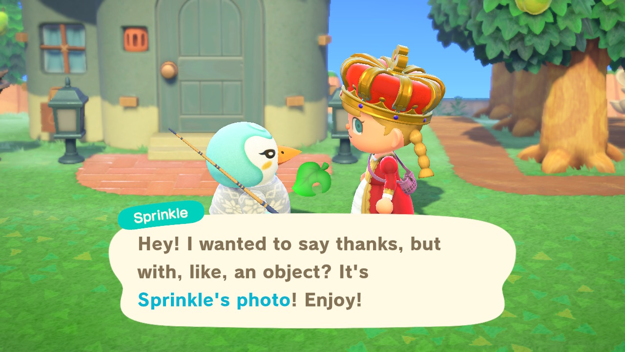 Animal Crossing getting a Framed Photo from a villager